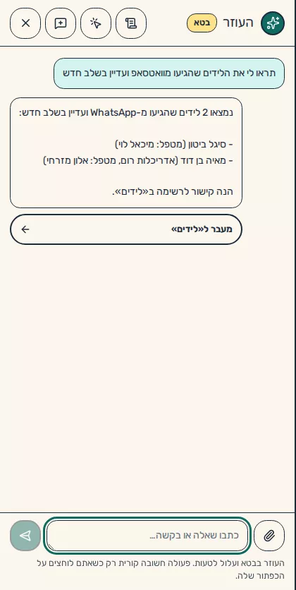 תמונת מסך: רשימת לידים מסוננת בכרטיס של העוזר
