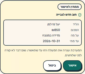 תמונת מסך: כרטיס אישור להוספת חוב חדש לגבייה