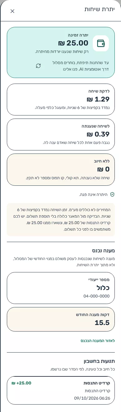 תמונת מסך: הגיליון יתרת שיחות בתצוגת פוקוס